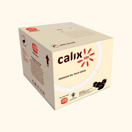 CALIX 600